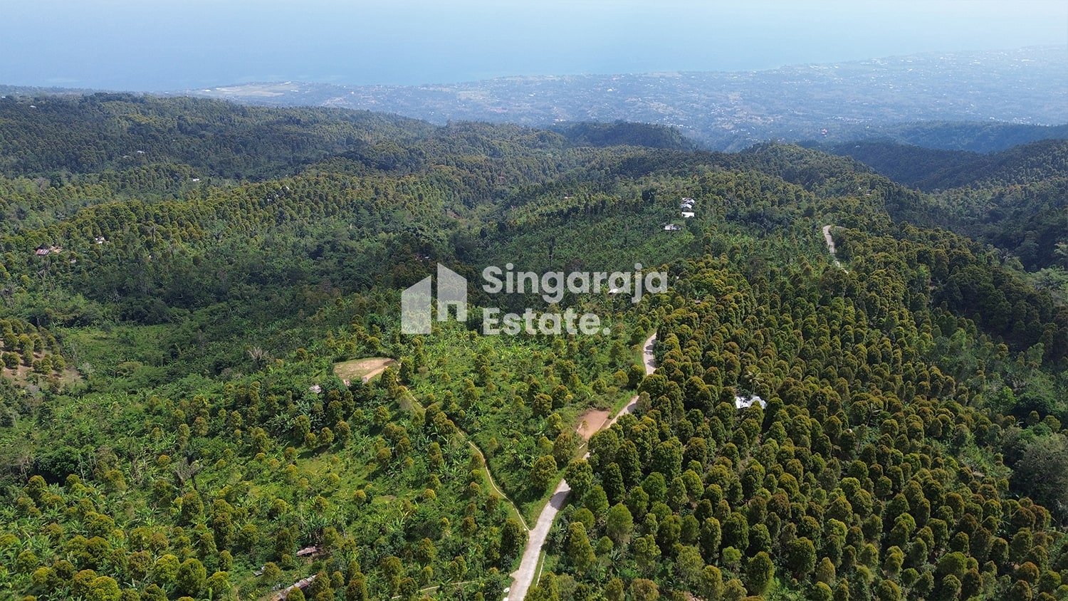 Tanah 5 Hektare View Laut di Dataran Tinggi Buleleng